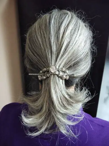 silver hair ponytail hair clip