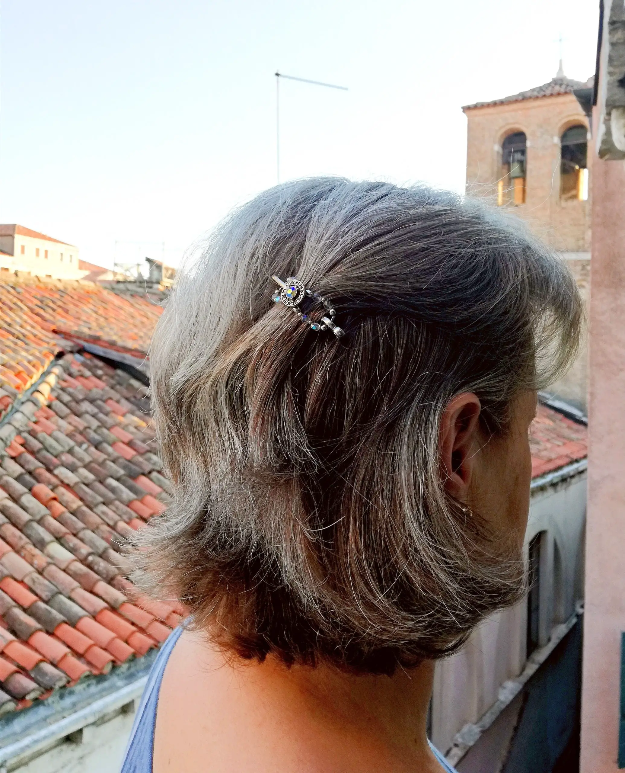 Venice short gray hair clip