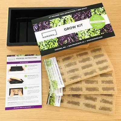 home microgreens kit