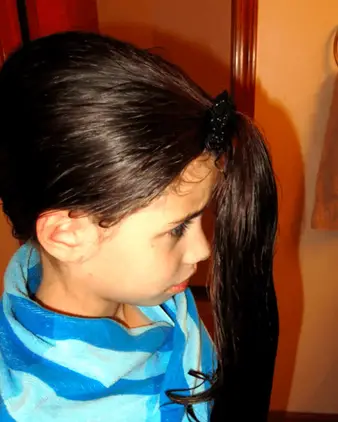 How To Easily Cut Your Own Hair in Layers at Home (DIY Ponytail Method)