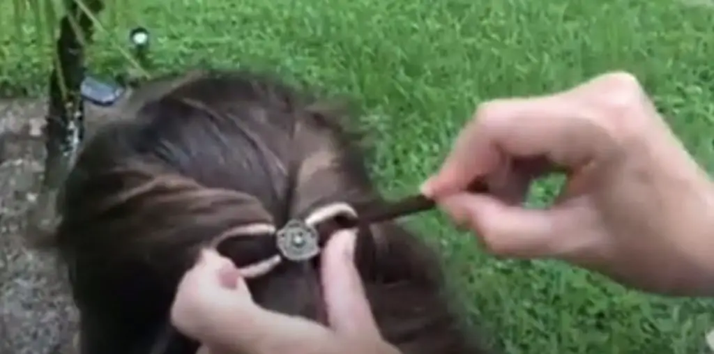How To Use Leather Hair Barrettes With Sticks