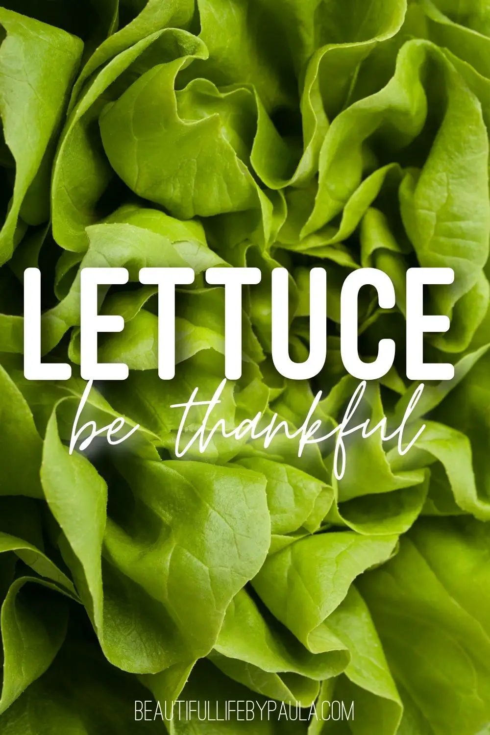 lettuce be thankful pun