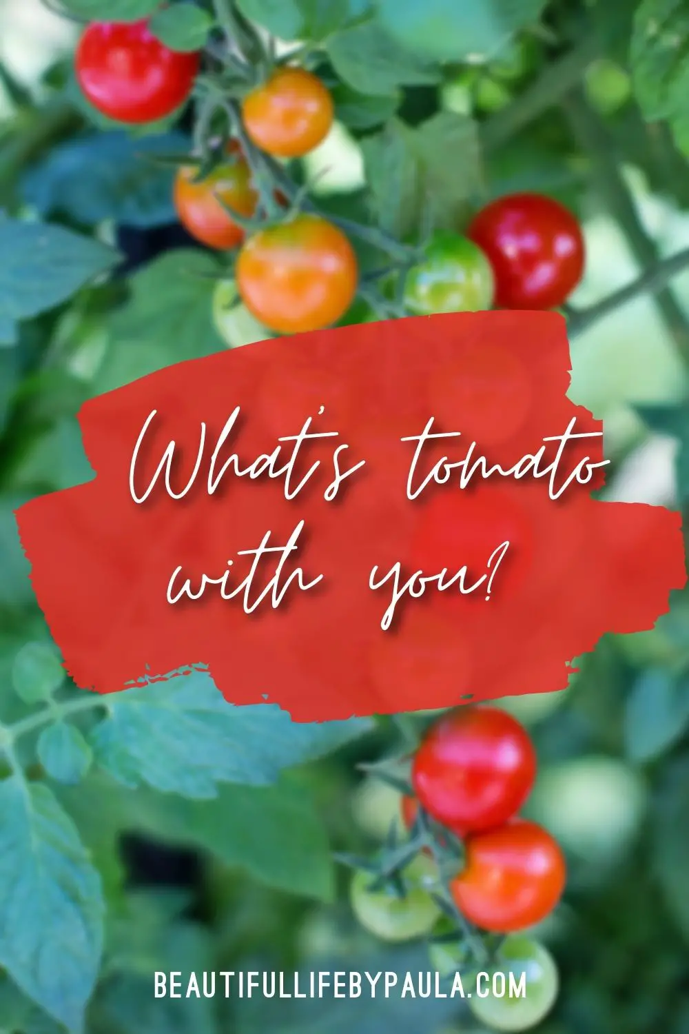 what's tomato with you?  pun
