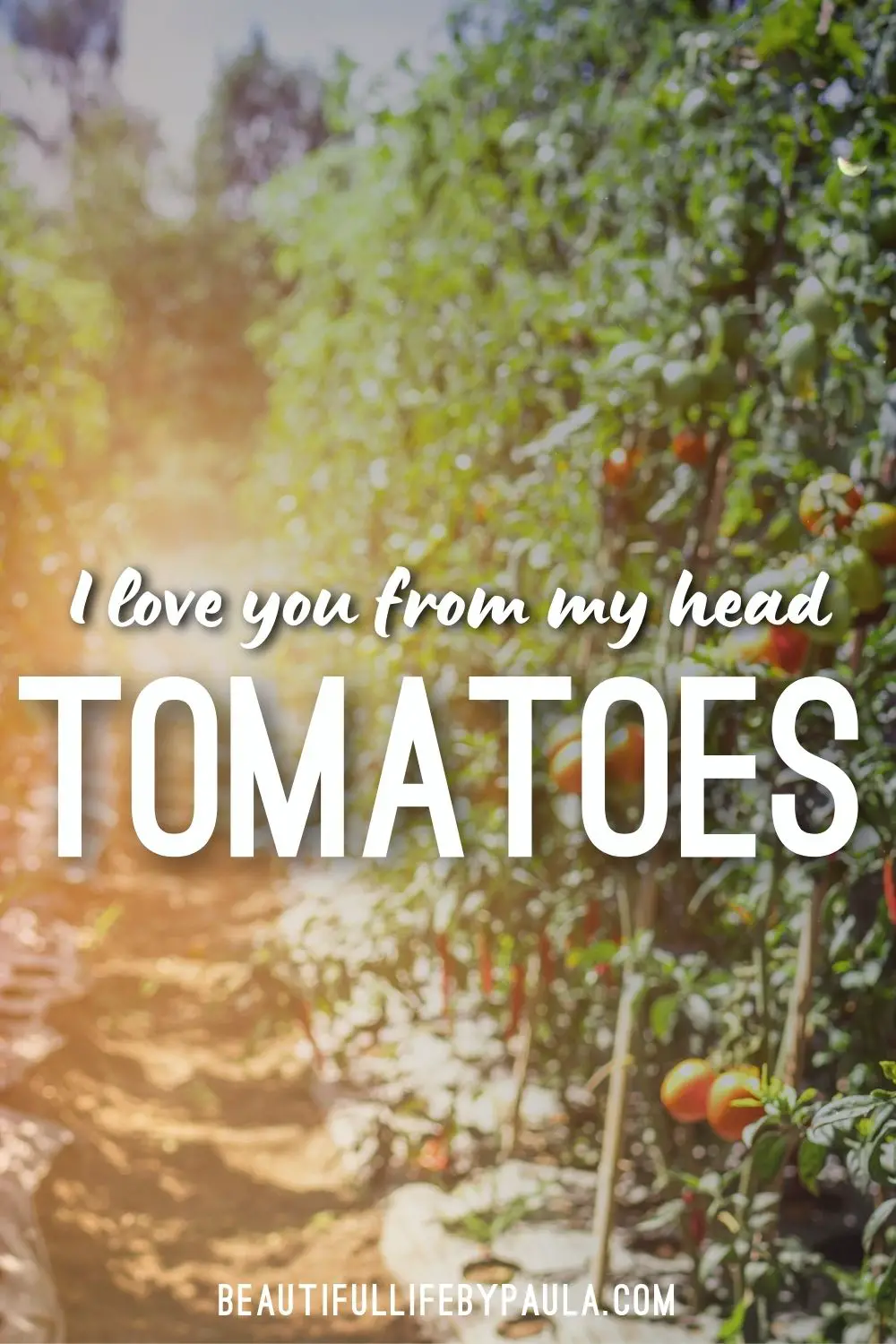 I love you from my head tomatoes pun