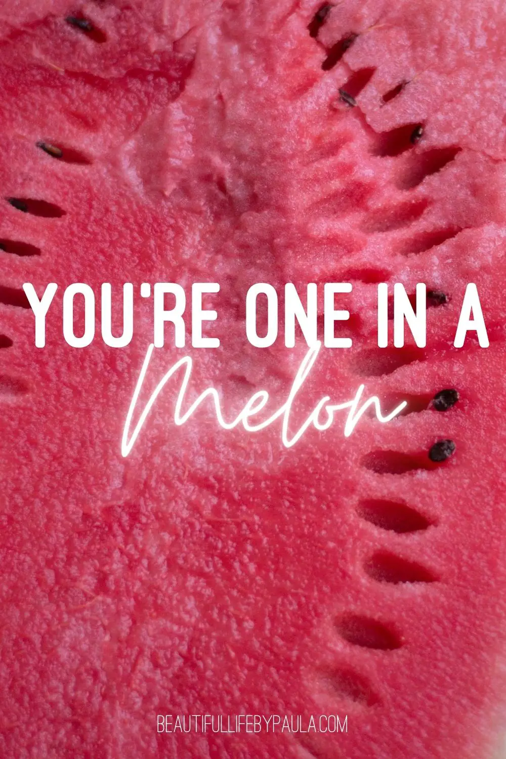 you're one in a melon pun