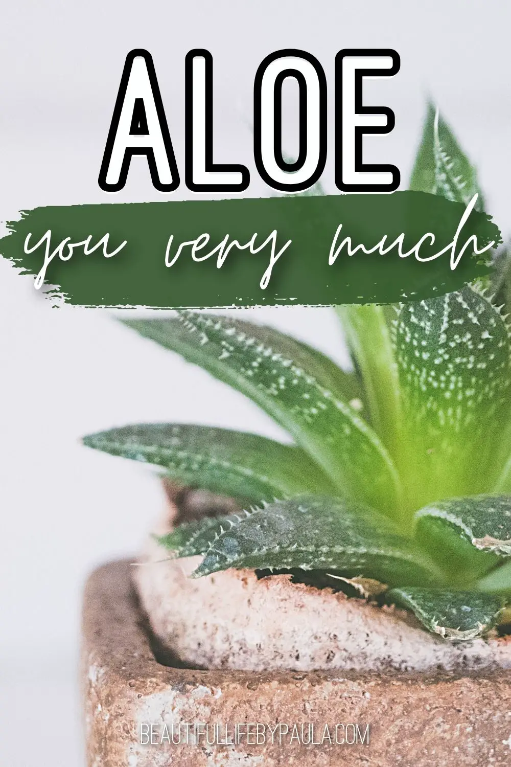 aloe you very much pun