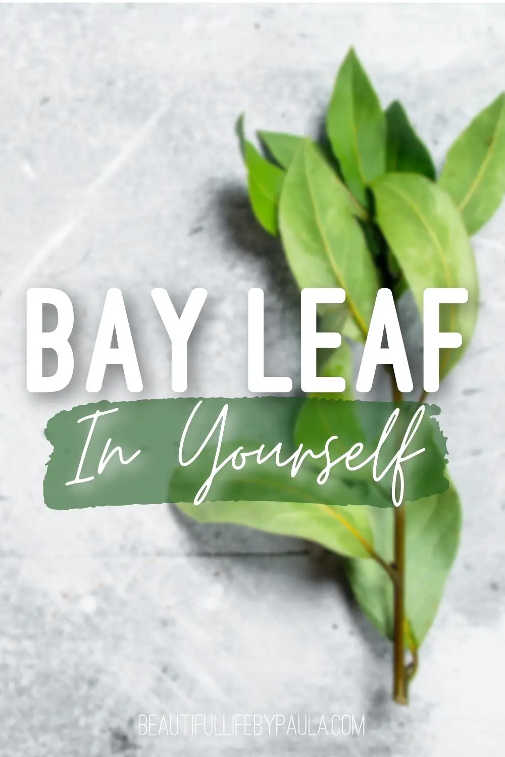 bay leaf in yourself gardening inspiration