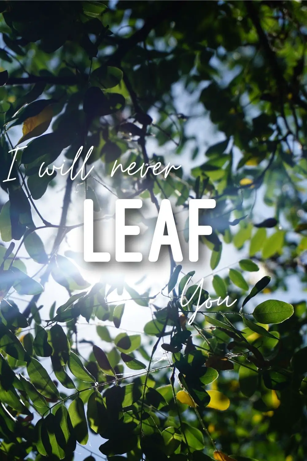 I'll never leaf you