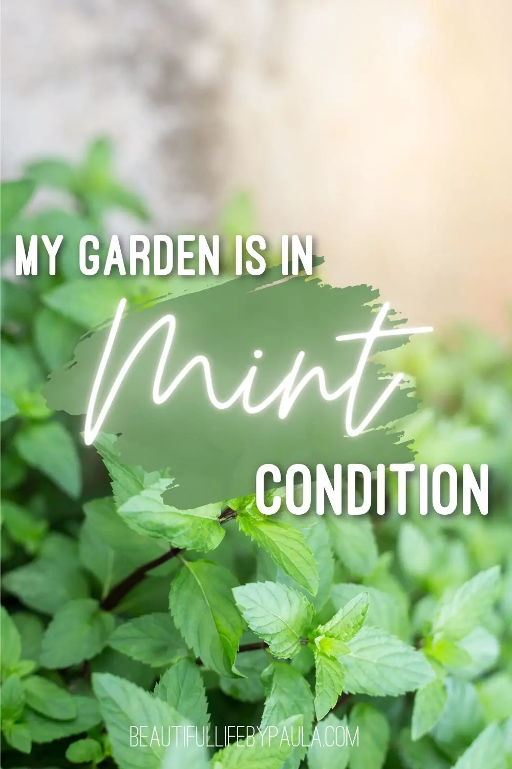 my garden is in mint condition
