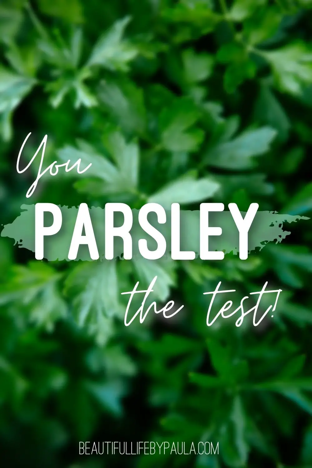 you parsley the test