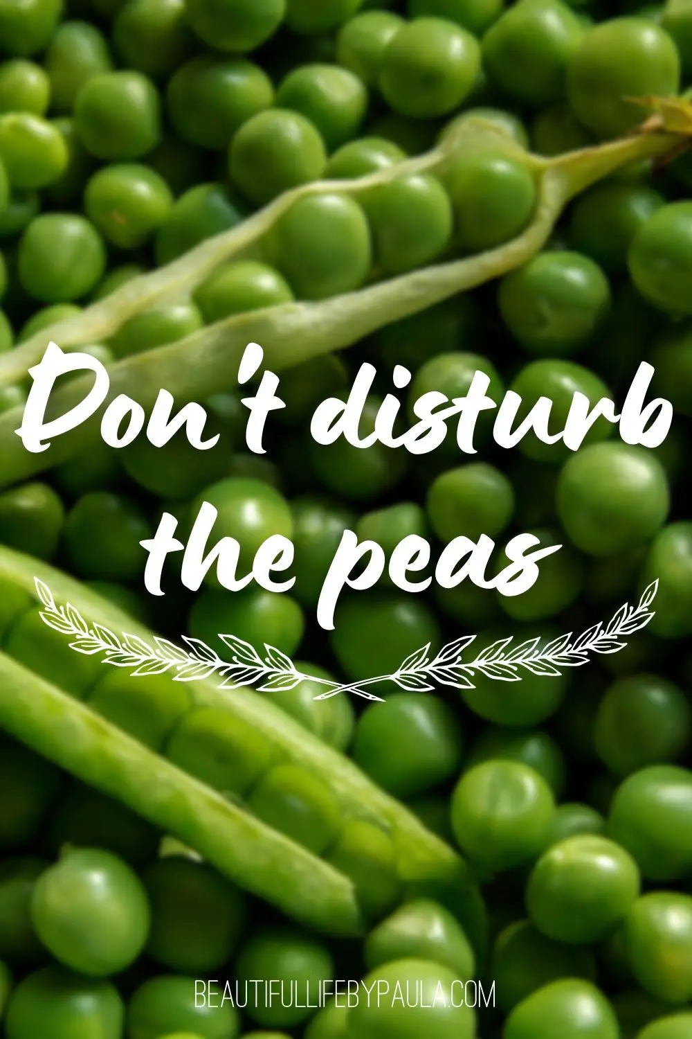 don't disturb the peas gardening pun 