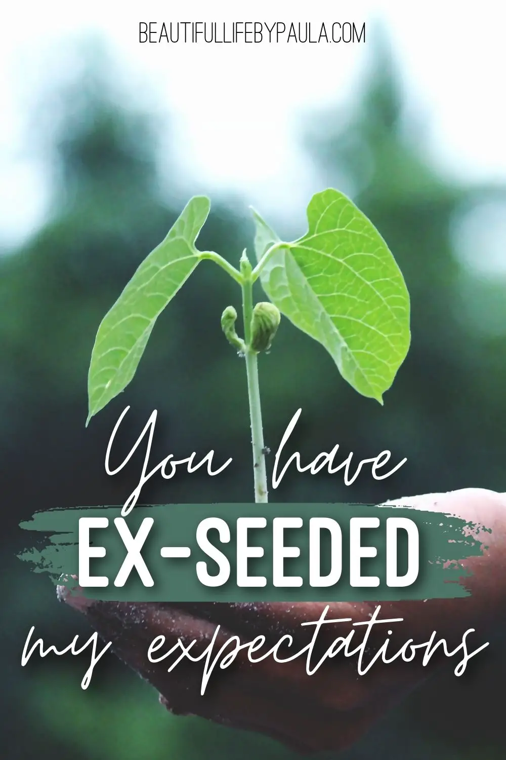 you have ex-seeded my expectations