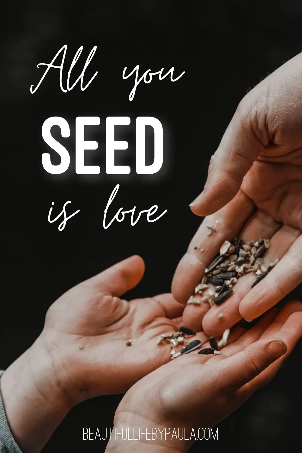 all you seed is love