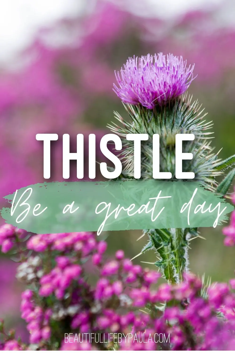 thistle be a great day
