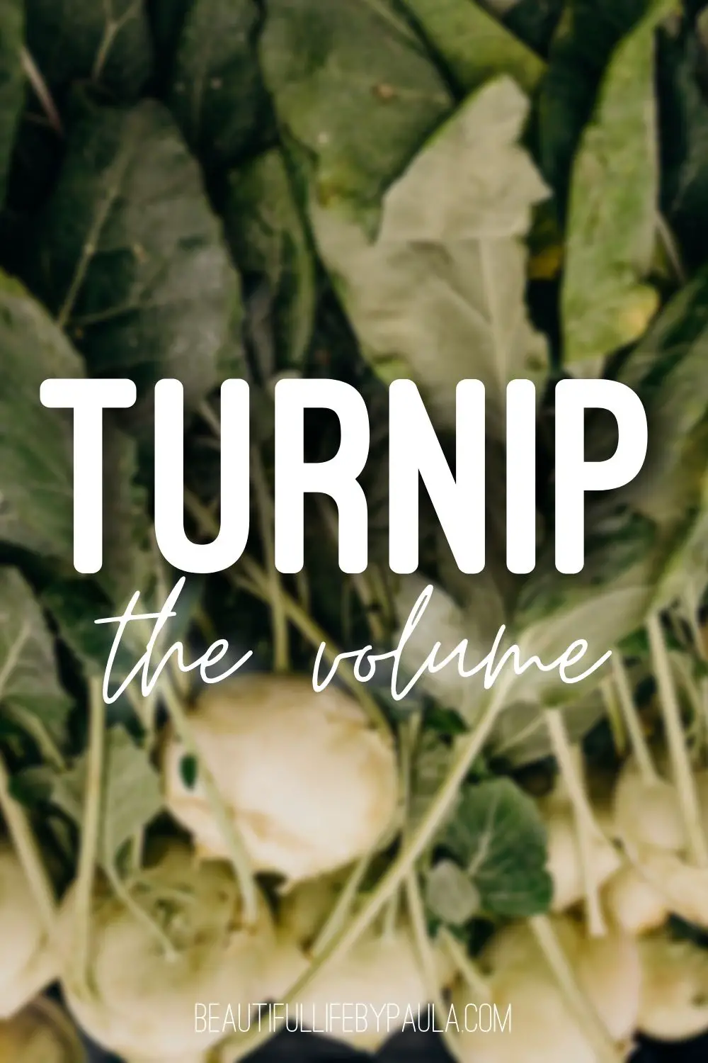 turnip the volume gardening pun