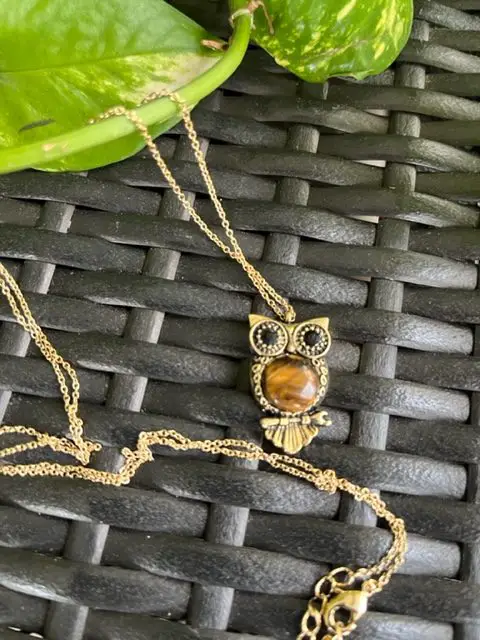 Lilla Rose hoot owl necklace