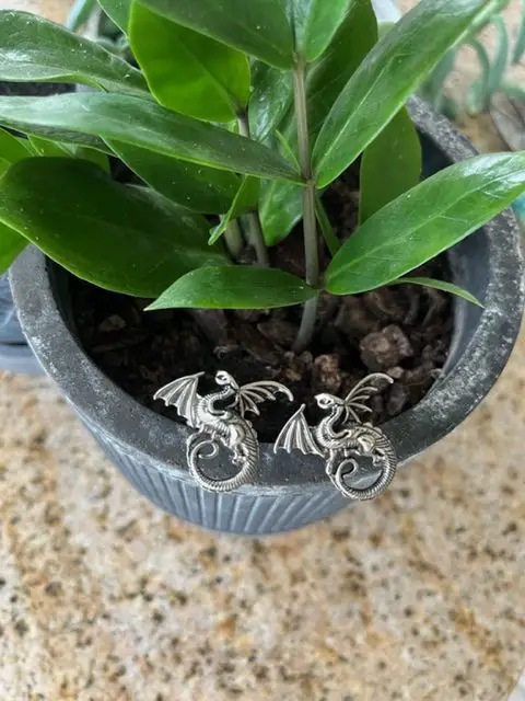 silver dragon u pins