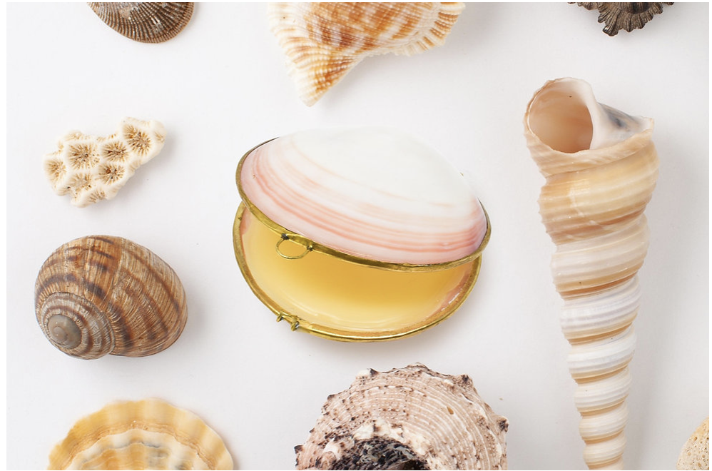 Organic Natural Perfume in Sea Shell Trinket