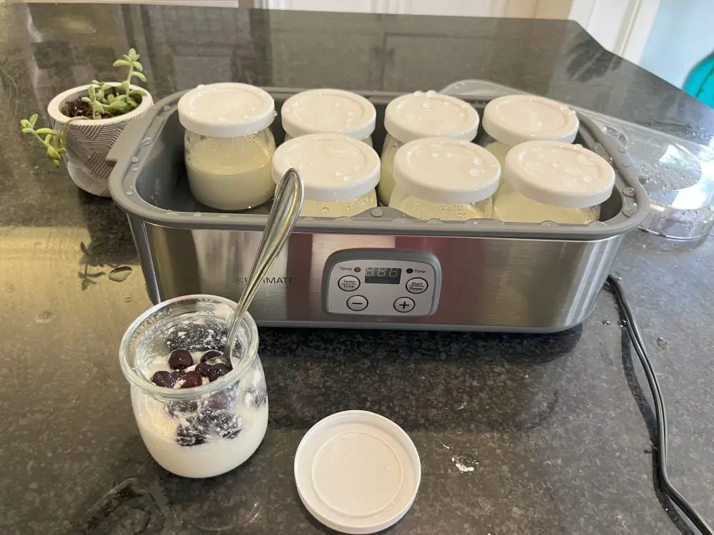 ultimate probiotic yogurt maker