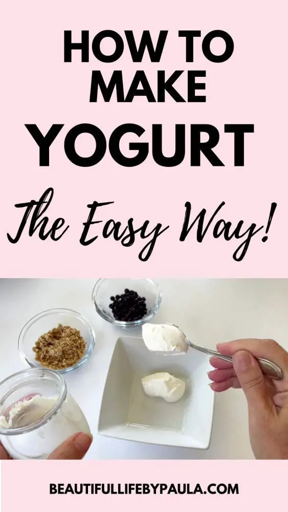 how to make homemade yogurt the easy way