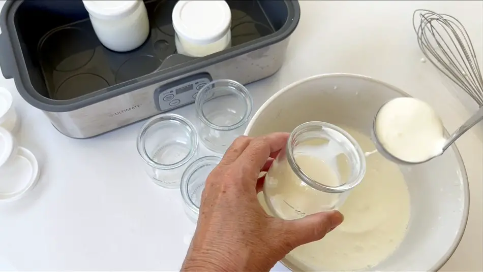 homemade yogurt recipe